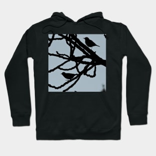 Sparrows Birds Tree Bare Branches Silhouette Hoodie